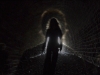 perftunnelstaam